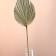 Washingtonia Palm sheet "Peak" 50-60 (+/- 6 cm), 1 pc, col. natural