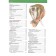 Children's Encyclopedia. Animals. Rublev S.V.