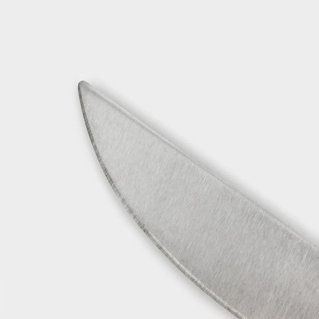 Knife Knot Dolyana "Tricolor", blade 14.5 cm-2