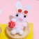 Decor "Rabbit" (6 pcs)