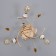 Adele chandelier BP 3x40W E27 Gold Model: 2612361