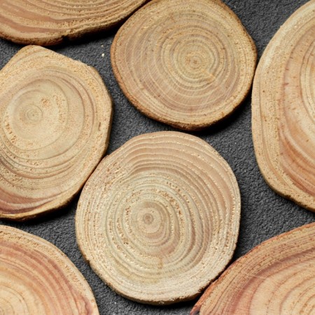 Saw a tree "larch", round, d = 4-7 cm, h = 3.5 mm-2