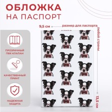 Cover for passport, white color