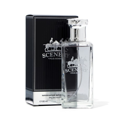 Male toilet water SCENERY, 100 ml