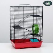 The cage for rodents 
