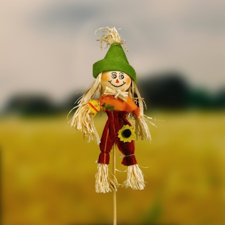 Garden scarecrow, h = 50 cm, mix, Greengo-1