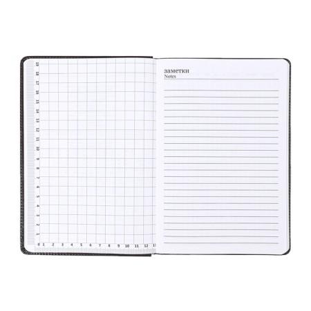 The diary is low, the PVC cover, A5 format, 140 l, cell, with a strap, black-10