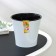 Kashpo for flowers with an insert "Arte", 600 ml, white-black color