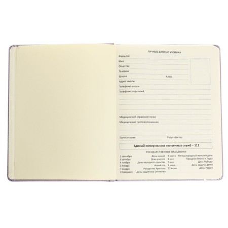 Universal diary for grade 1-11 Bird, hard cover, artificial leather, foam rubber, foil embossing, liesse, 80 g/m2-3