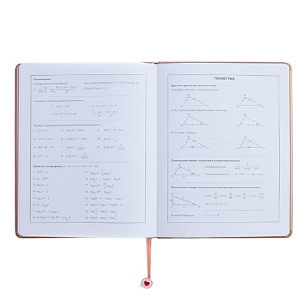 Universal Grade 1-11 Diary, 48 sheets "Pattern", solid cover of artificial leather, foil embossing, liesse, universal cheat sheet, block 80 g/m2-9