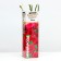 Gikho seedlings, spring 2024, 1 pc.