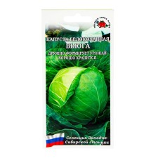 Cabbage seeds 