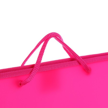 Folder for drawings and drawings A3, 420 x 343 x 50 mm, 0.9 mm, with handles, plastic, lightning from above, "standard" pr 3, pink-2