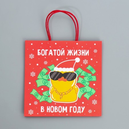 Package Gift Crafts "Something on the Rich", 22 x 22 x 11 cm, New Year-5