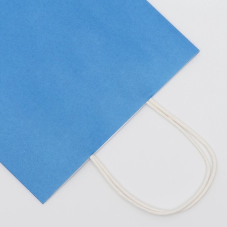 Craft package blue, round handle, 22 x 13 x 32 cm, 120 g-1
