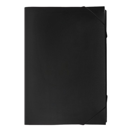 Folder Carder Calligrata 13 Department. A4 plastic 0.7mm black. Mix TsV rubber bands-1