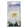 Flower seeds Nyvynik "Terry", 0.1 g.