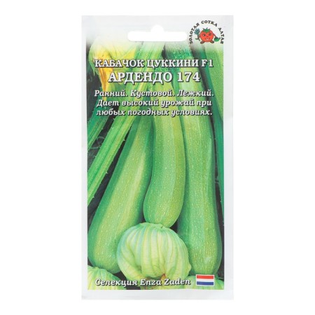 Semen zucchini "Ardendo F1", Tsukkini, 5 pcs