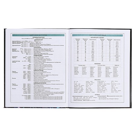 Diary for 5-11 grades of Technoboom No. 4, integral cover, glossy lamination, 48 sheets, block 70 g/m2-14