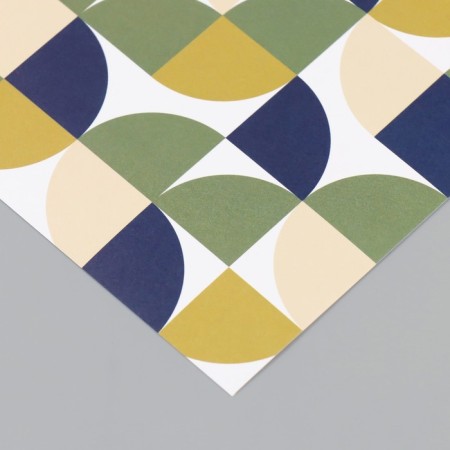 Scrapbooking paper "Snake" density 180 grams set 10 pcs 15.5x17 cm-2