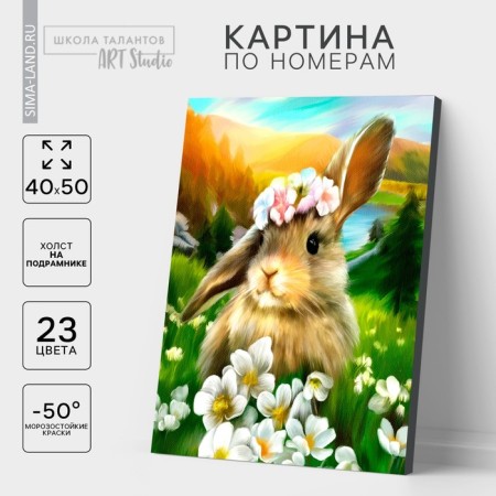 Picture on numbers on a canvas with a subframe "Hare", 40 x 50 cm