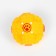 The croaking ball for dogs is large, hard, 9.5 cm, yellow