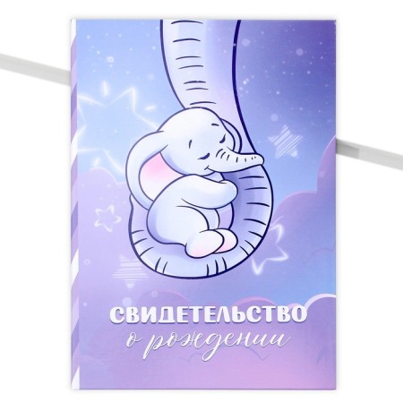 The folder for the birth certificate "Tenderness", A5.-1