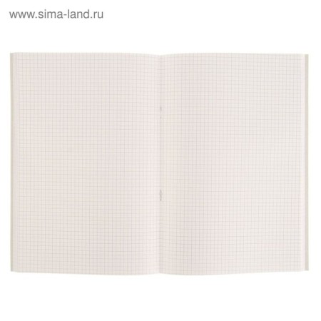 A4 accounting book, 96 sheets, cell, cardboard cover, offset-2
