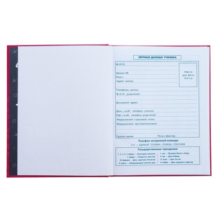 Diary for grades 1-4, 48 sheets "cat", hard cover, glossy lamination, foil embossing-5
