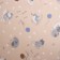 KPB cats Beige 110x150cm, 90x150cm, 40x60cm, calico 120g/m, HL100%