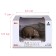 Figure "World of Wild Animals: Wombat"