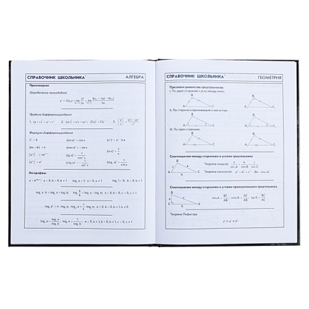 Diary for grades 5-11, 48 sheets "Duck Frick", solid cover, glossy lamination-10