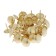 Tundra nails, decorative, 19x22 mm, gold, 50 pcs