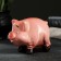 Piggy bank "Piggy" 9x10x7cm