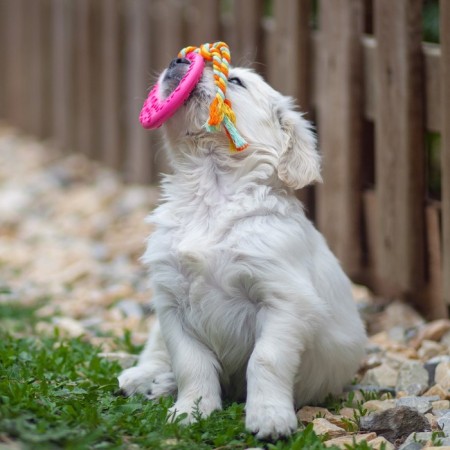 Chewing toy with a rope "Girya", pink-6