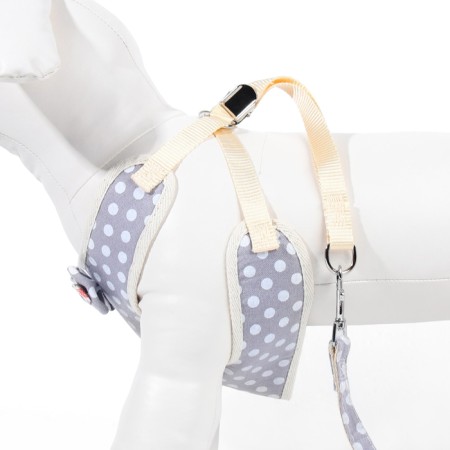 A set with a soft harness "peas", size m, leash 120 x 1.5 cm, og 34-66 cm, gray-4