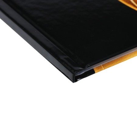 Universal diary for grades 1-11, "golden ball", a solid cover 7BC, glossy lamination, 40 sheets-3