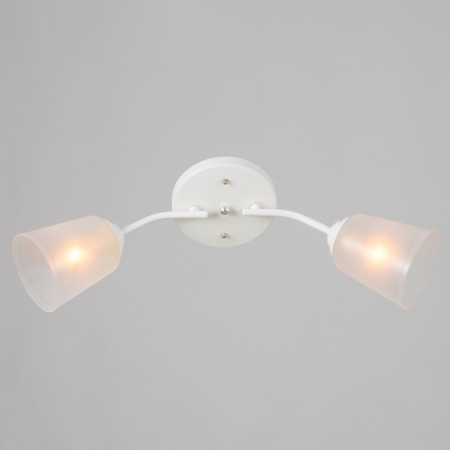 Causte "Online" (cylinder) 2x15W E27 Model: BR 00193 White/Transparent-1