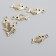 Decor for creativity metal, rhinestones "Fish skeleton" gold 0.9x2 cm