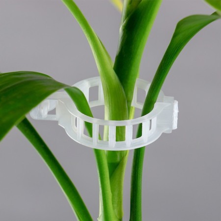 Garden clip, d = 25 mm, set 50 pcs., Greengo-5