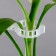 Garden clip, d = 25 mm, set 50 pcs., Greengo