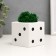 Concrete Kashpo "Player bone" with moss white with black 7x7x7 cm (moss green stabilizir.)