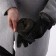 Gloves male, dimensionless, with insulation, black color