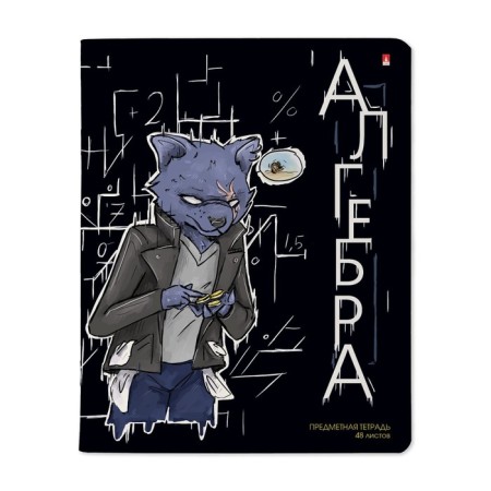 The subject of the "raspberry", 48 sheets in the algebra cage, cardboard cover, SoftTouch lamination