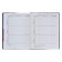 Diary for grades 1-4, "butterflies. Neon", solid cover 7BC, glossy lamination, 48 sheets