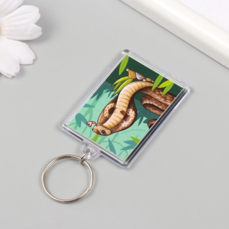 Acrylic key "Cobra" 3.5x5 cm-3