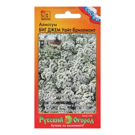 Flower seeds Alissum Big Jam White "Diamond", 30 pcs