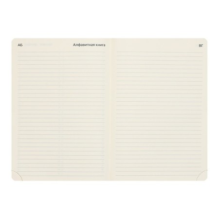 Leduced Diary A5, 160 sheets, Devente.klint, firm artificial leather cover with foam rubber, cream block 70 g/m2, black-10