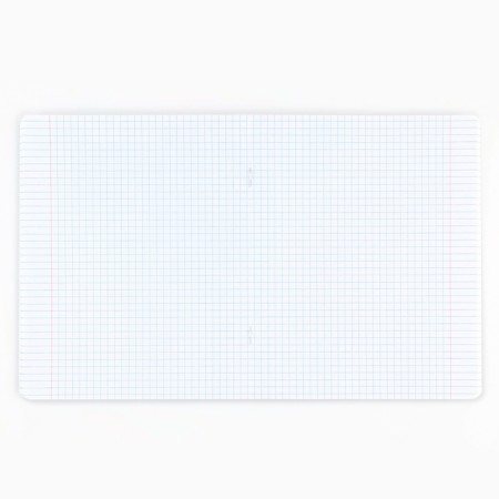Notebook in a cage, 48 sheets A5 on a paper clip 5 pcs., Inner block No. 1 Mix “September 1: True Love” VD LAK-2