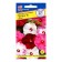 Flower seeds hibiscus swamp "moon", mixture, 3 pcs
